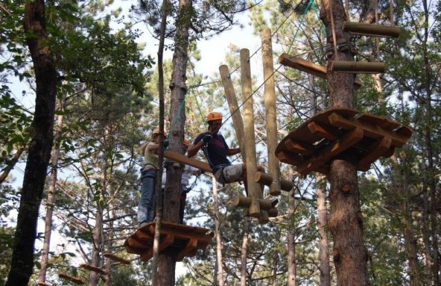  Routes of various types